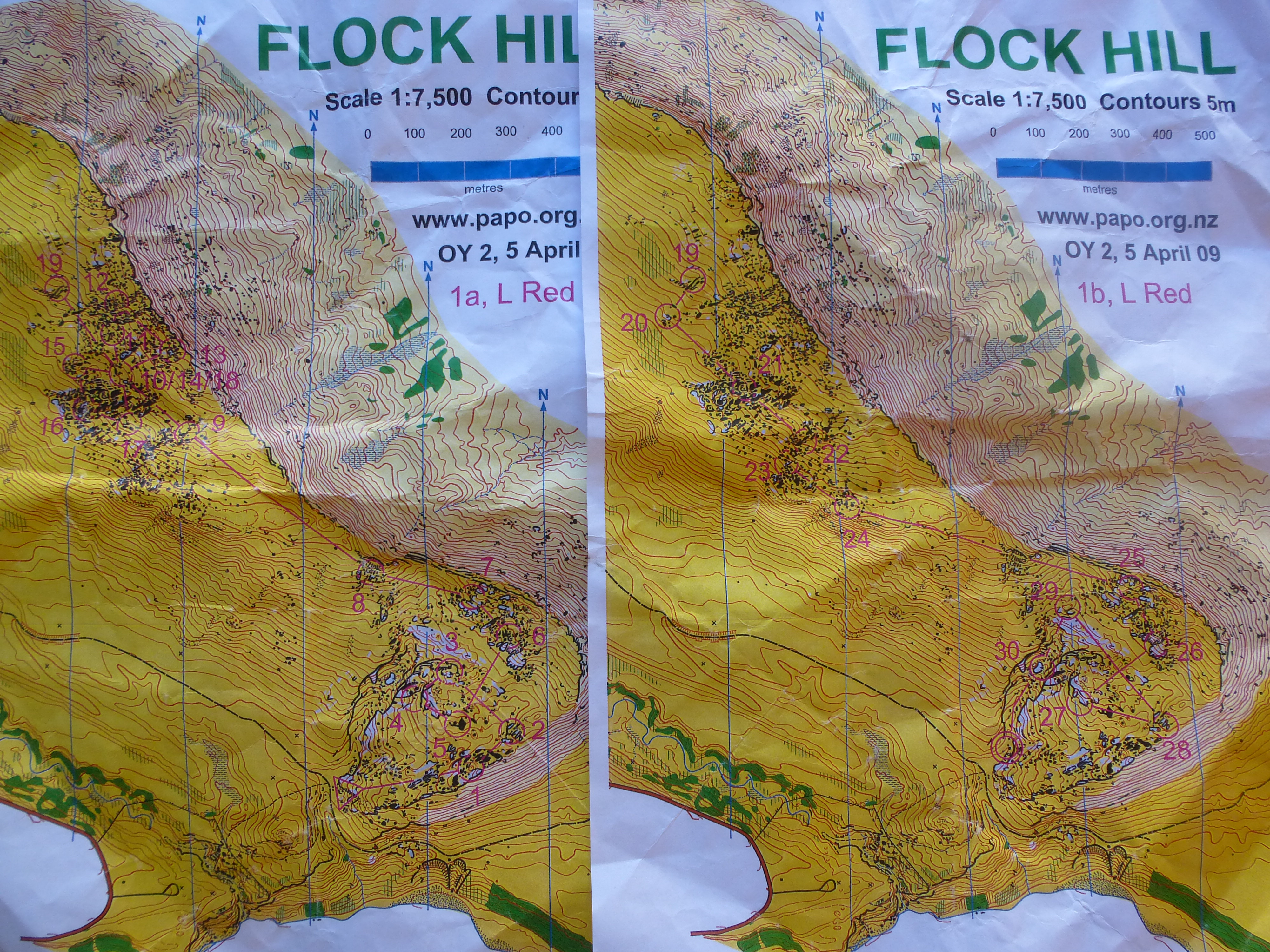 Flock Hill (21/01/2013)